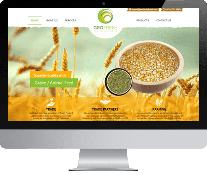 GEO FRESH LLC